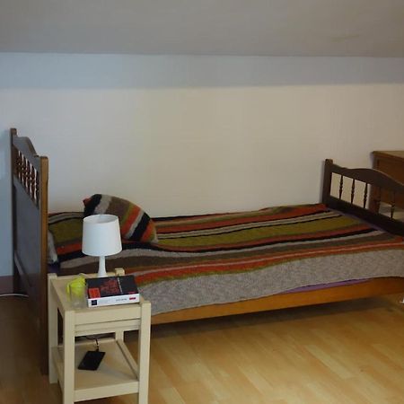 Bel Appartement Au Coeur Du Puy En Velay Le Puy-en-Velay Zewnętrze zdjęcie