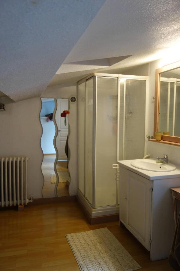 Bel Appartement Au Coeur Du Puy En Velay Le Puy-en-Velay Zewnętrze zdjęcie
